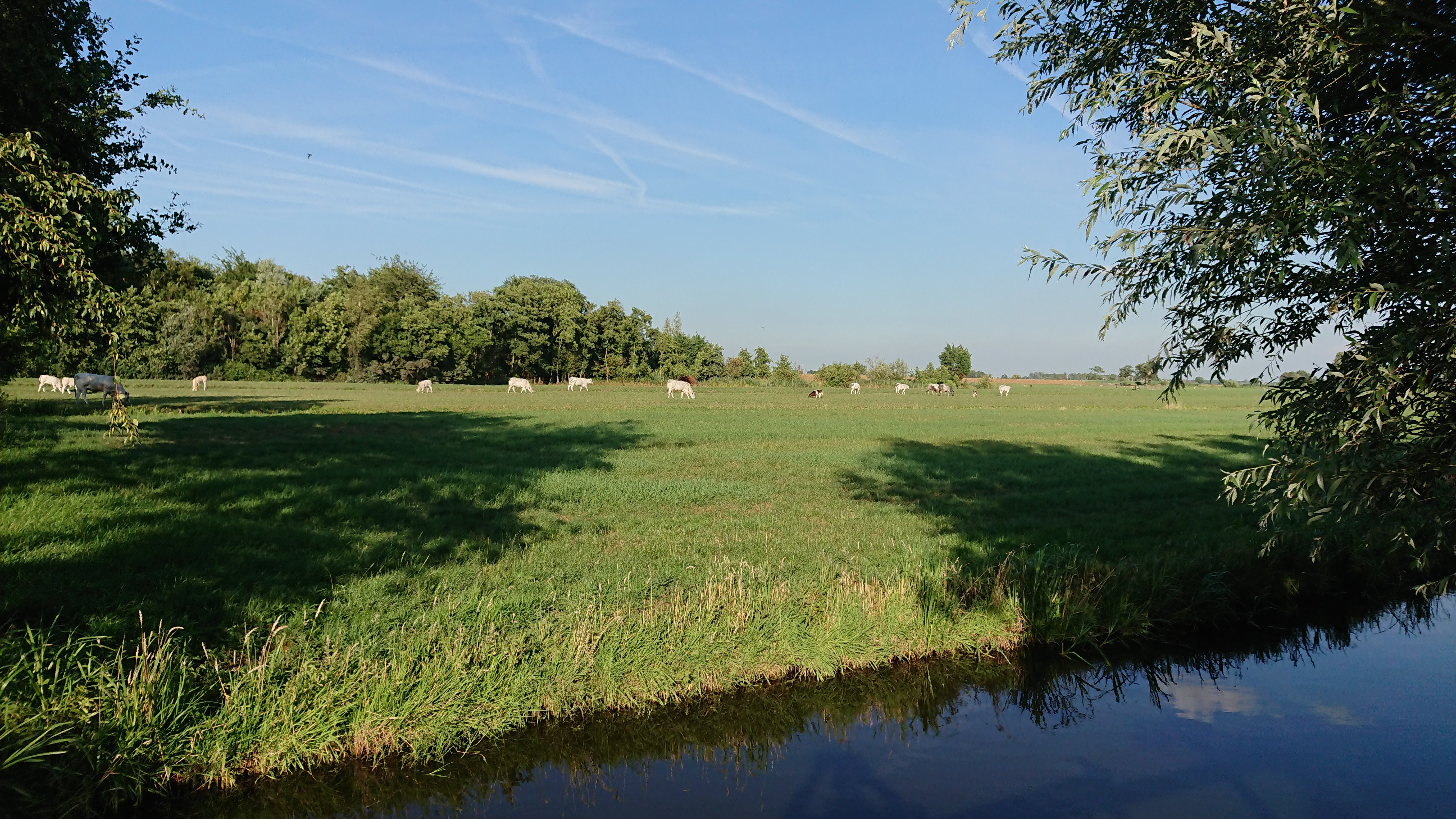 Camping de Landhoeve Lekkerland Lekdij-浴室