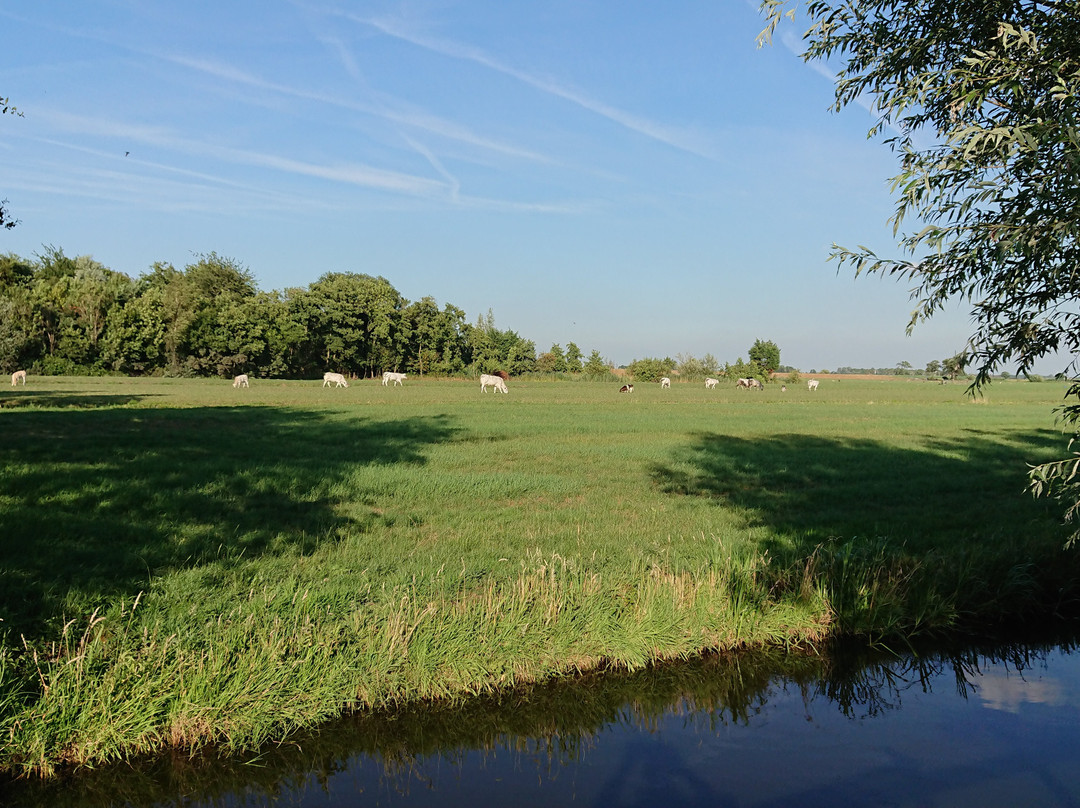 Camping de Landhoeve Lekkerland Lekdij主图
