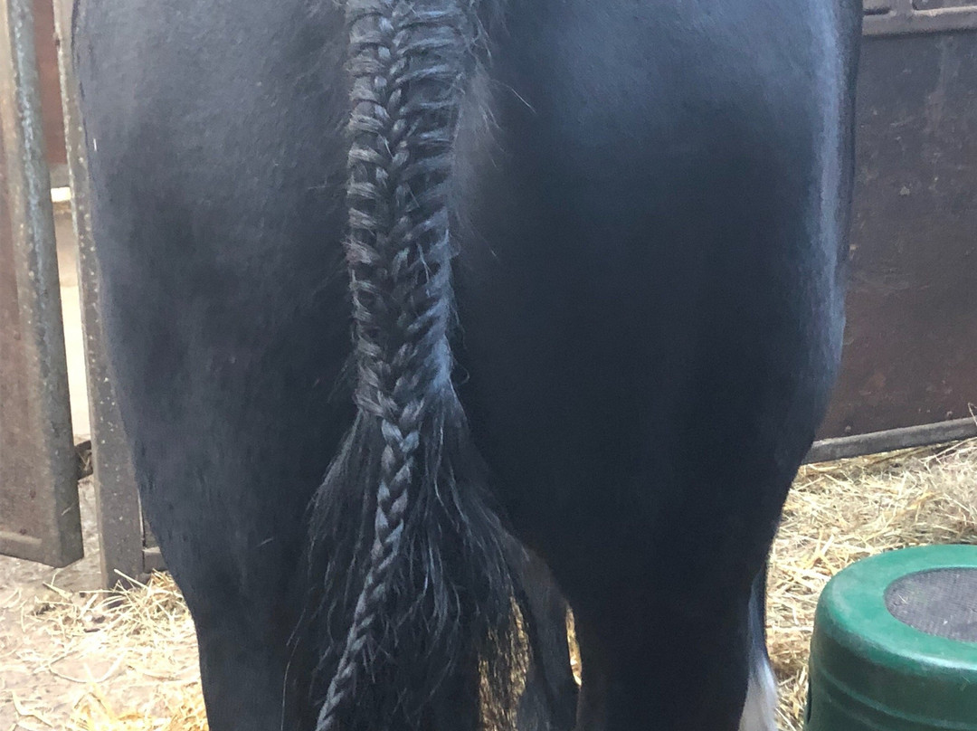 Swinhoe Farm Riding Centre-Belford必去景点