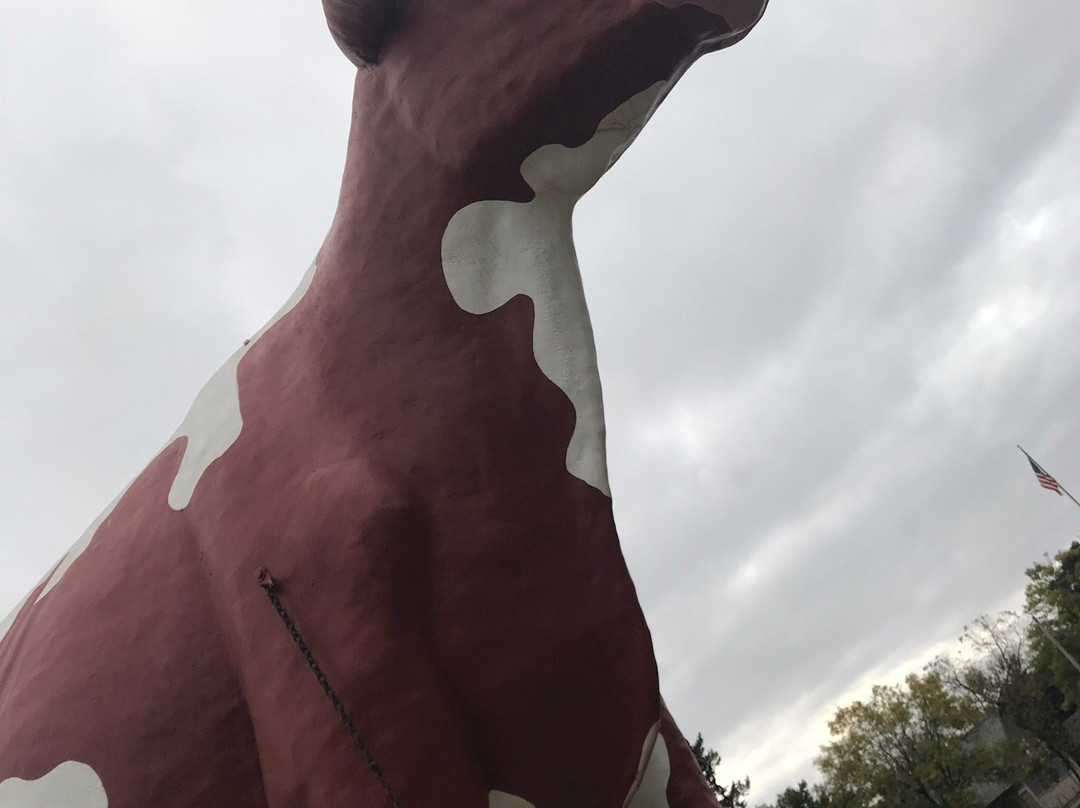 Buffy The Cow景点图片