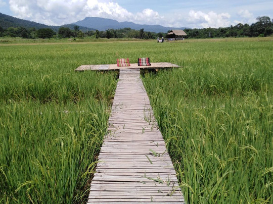 Thai as a Second Language school-清迈必去景点