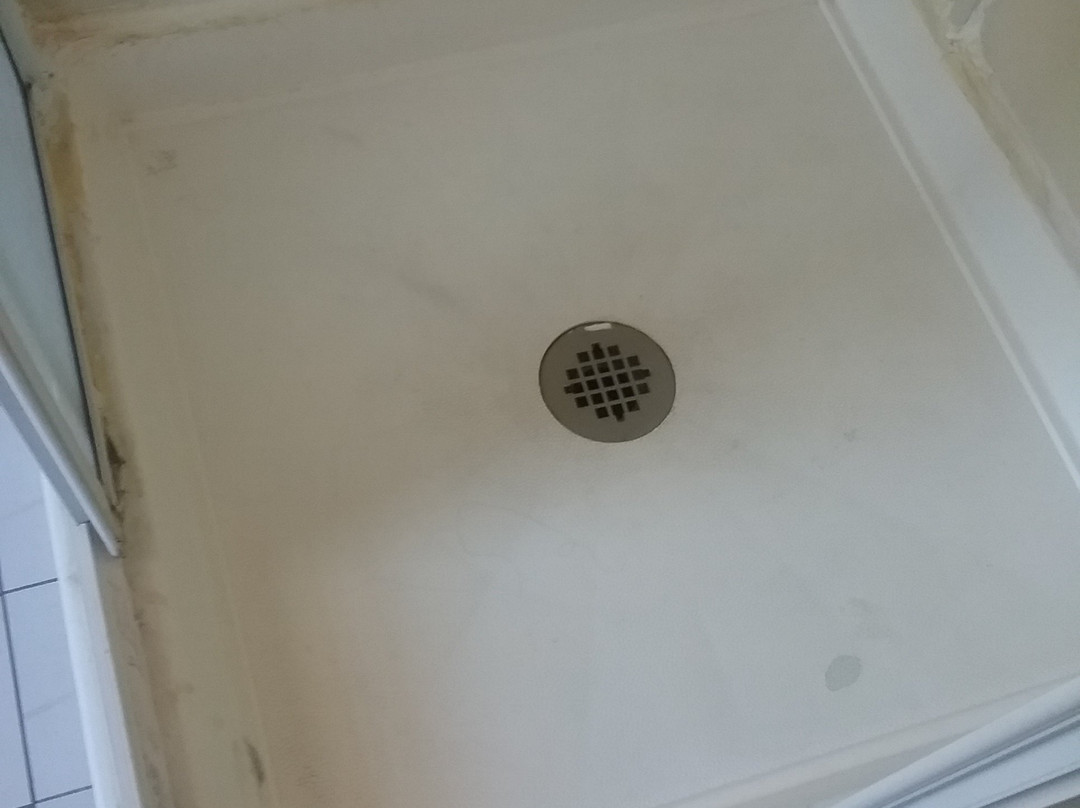 Wauban Cottage主图