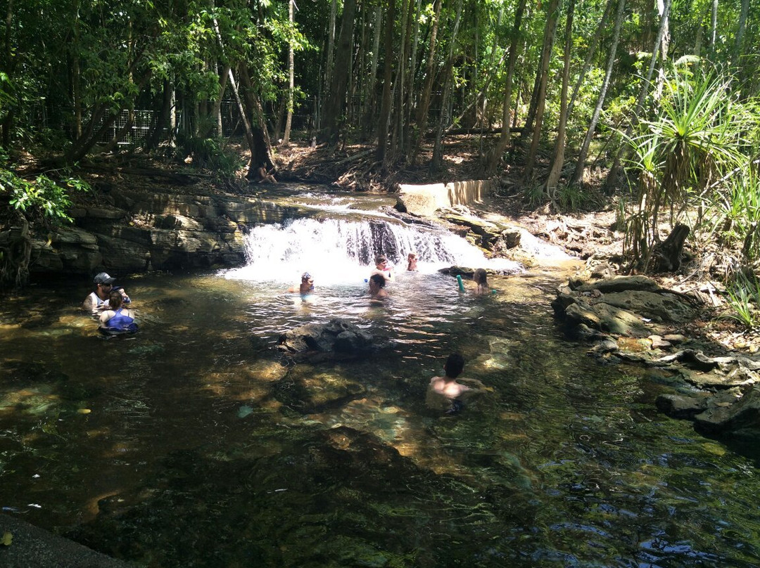 Berry Springs Nature Park景点图片