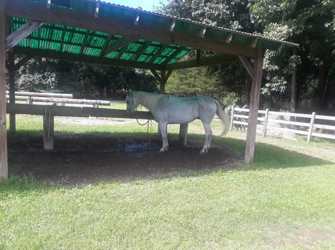 Sunset Stables-Lincoln必去景点