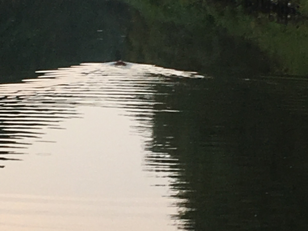 Damstraat 17-Moerbeke必去景点