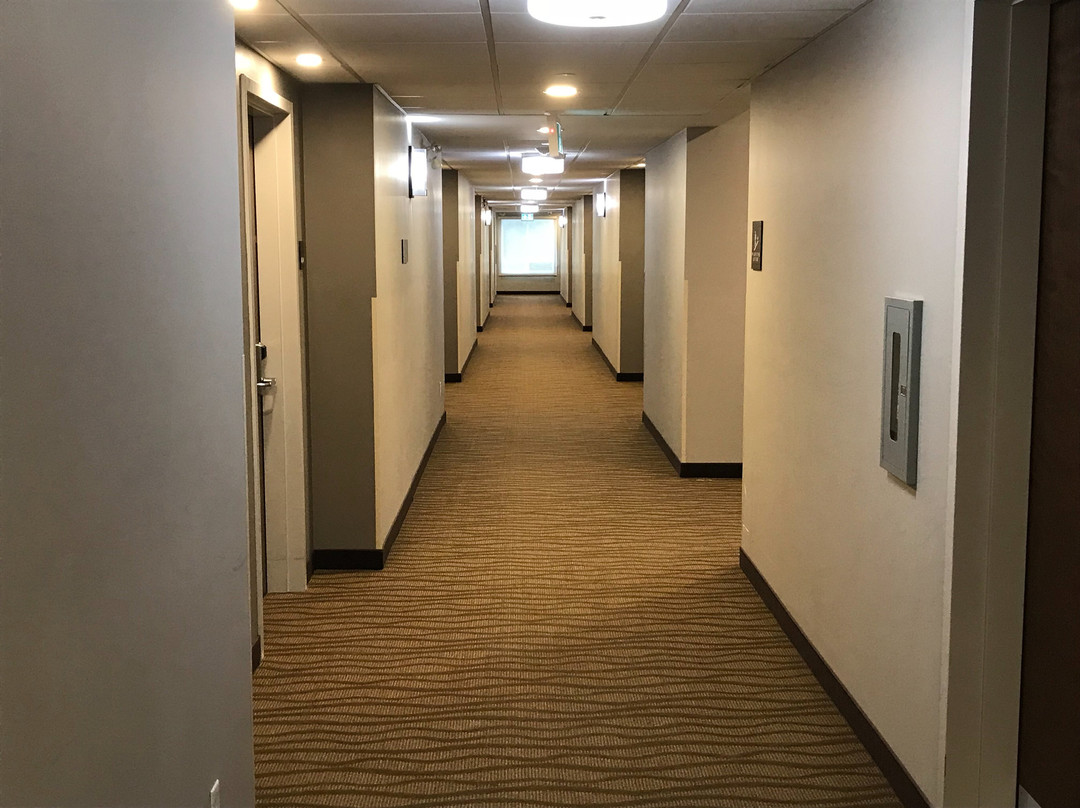 Comfort Inn & Suites Terrace主图