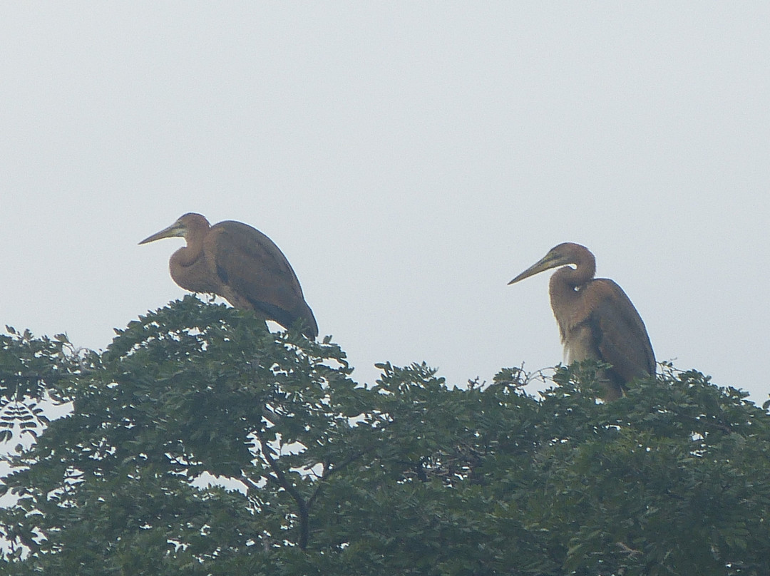 Taman Tasik Permaisuri-吉隆坡必去景点