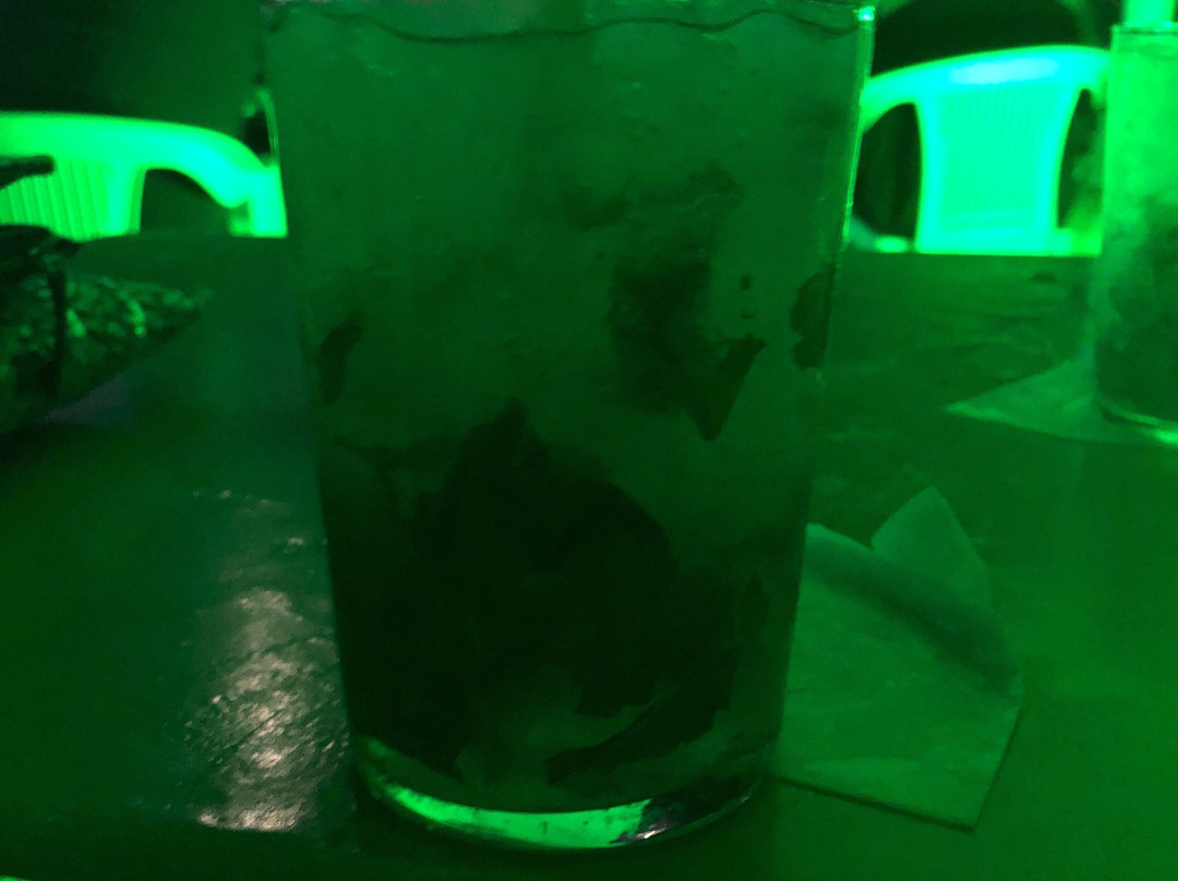 La Ballena Verde景点图片