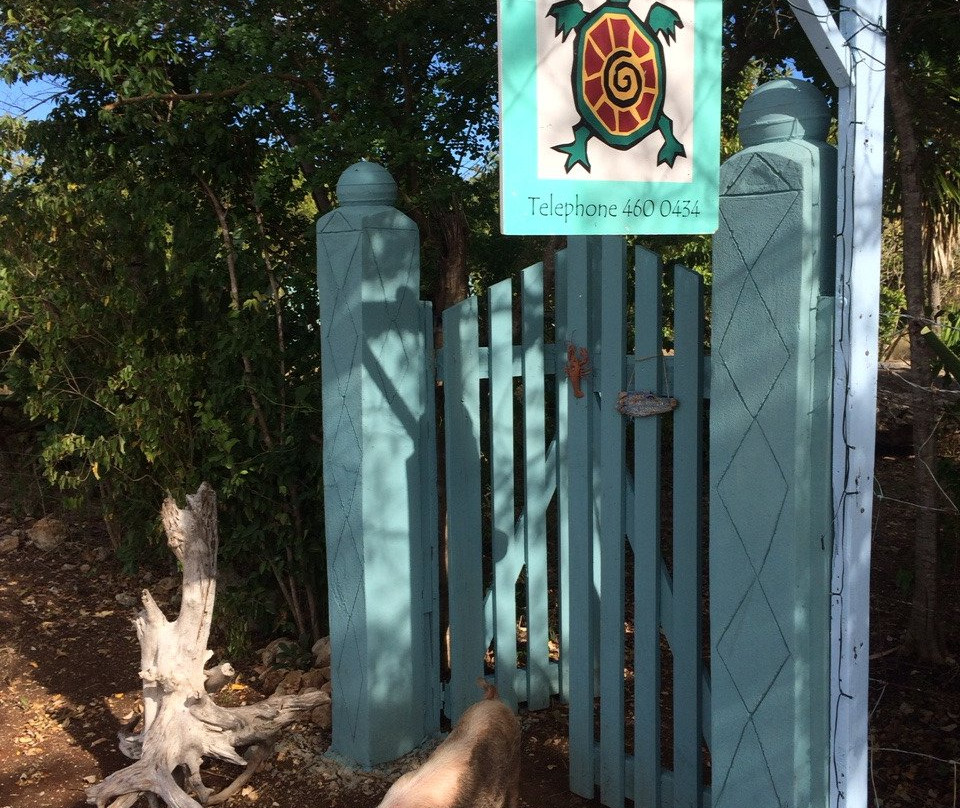 Artcafe-巴布达必去景点