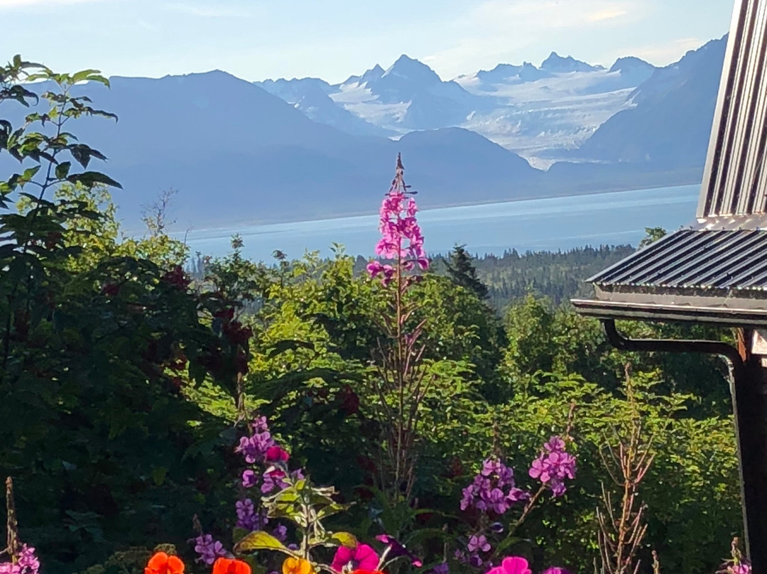 A Stellar View主图