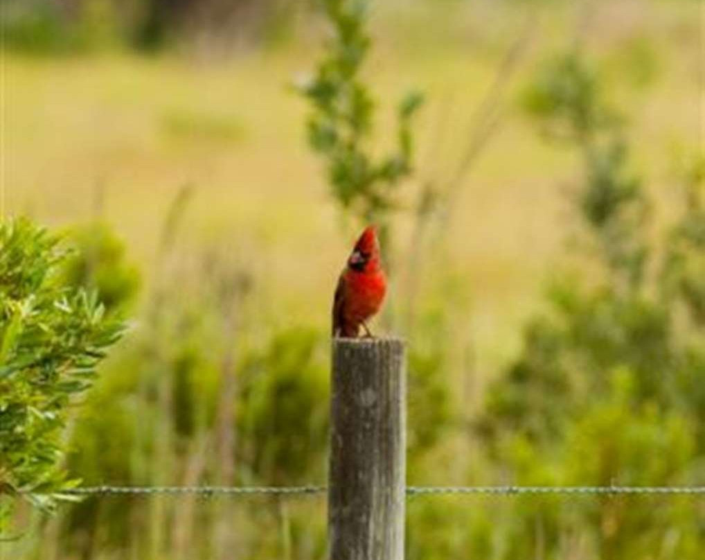 Hampton Inn Okeechobee - Lake Okeechobee主图
