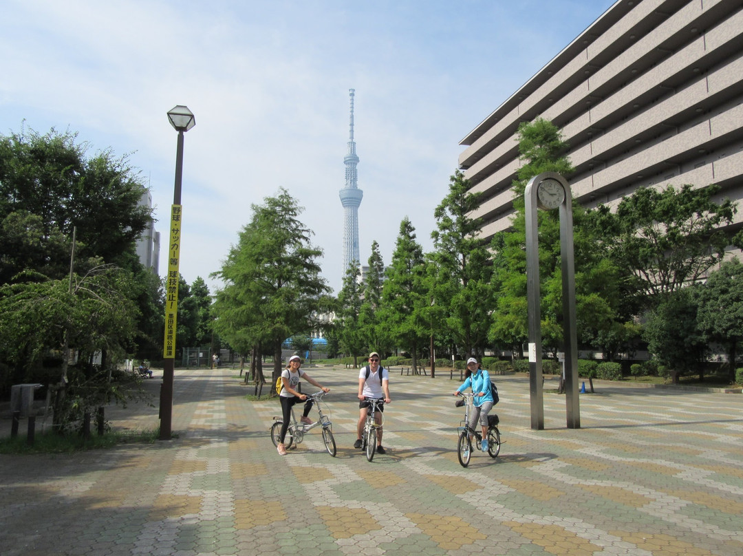 Y&Y Cycling Tours Tokyo景点图片