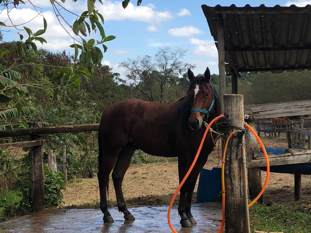 Rancho do Kajuba-Sao Pedro必去景点