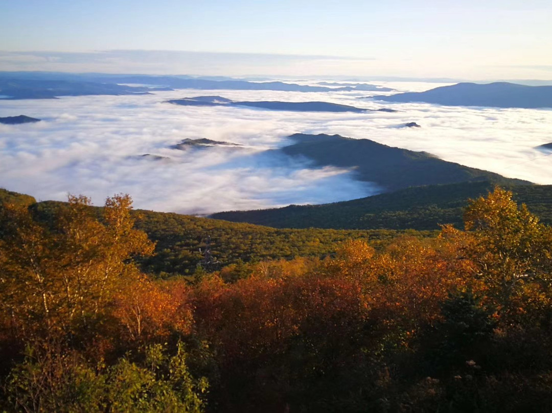 汤旺河石林风景区-伊春市必去景点