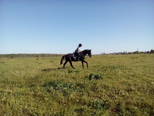 Rosinant-Staraya Ryazan必去景点