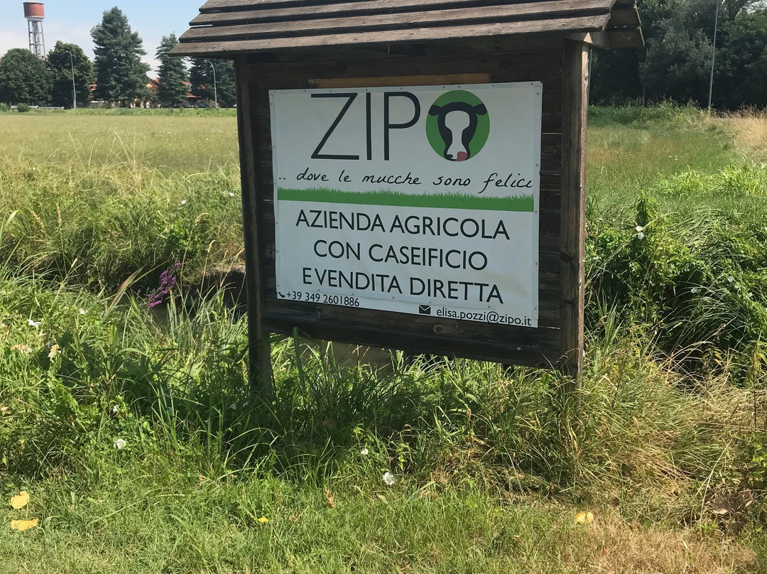 Azienda agricola ZIPO景点图片
