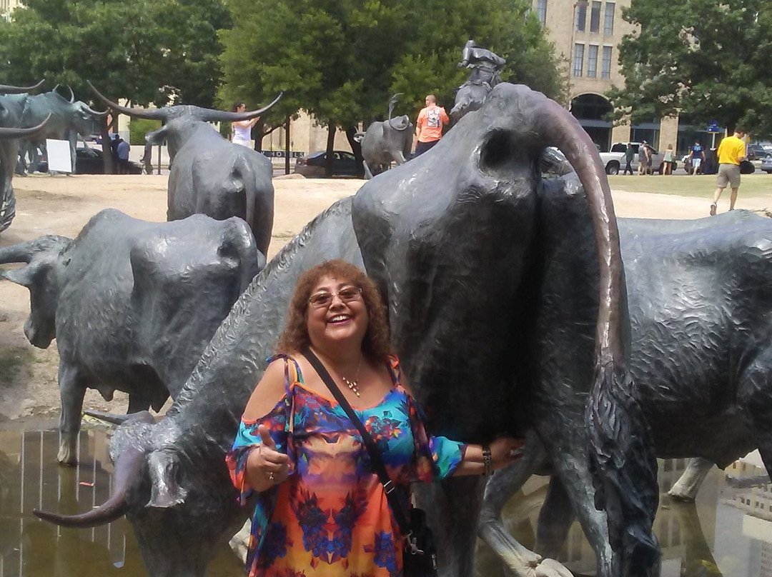 The Tour of Dallas-达拉斯必去景点