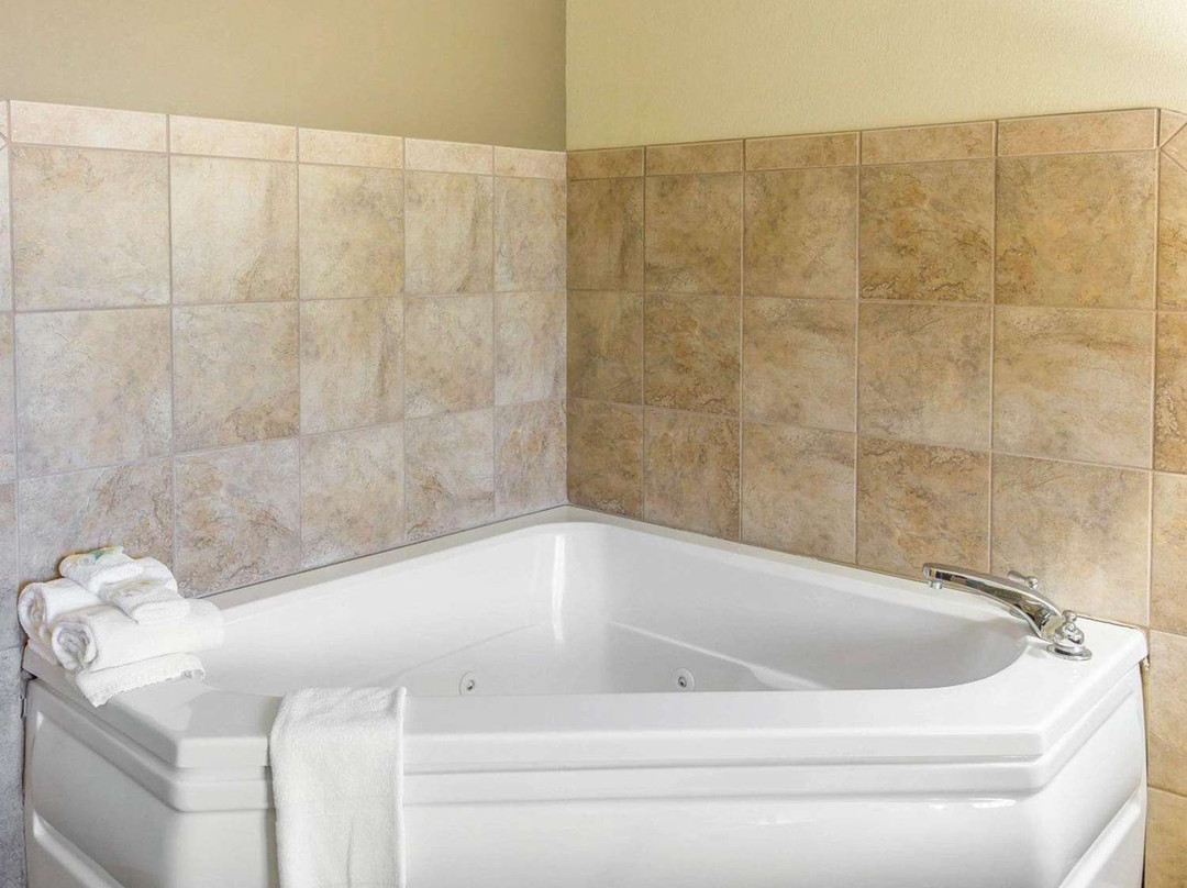 Comfort Inn & Suites主图