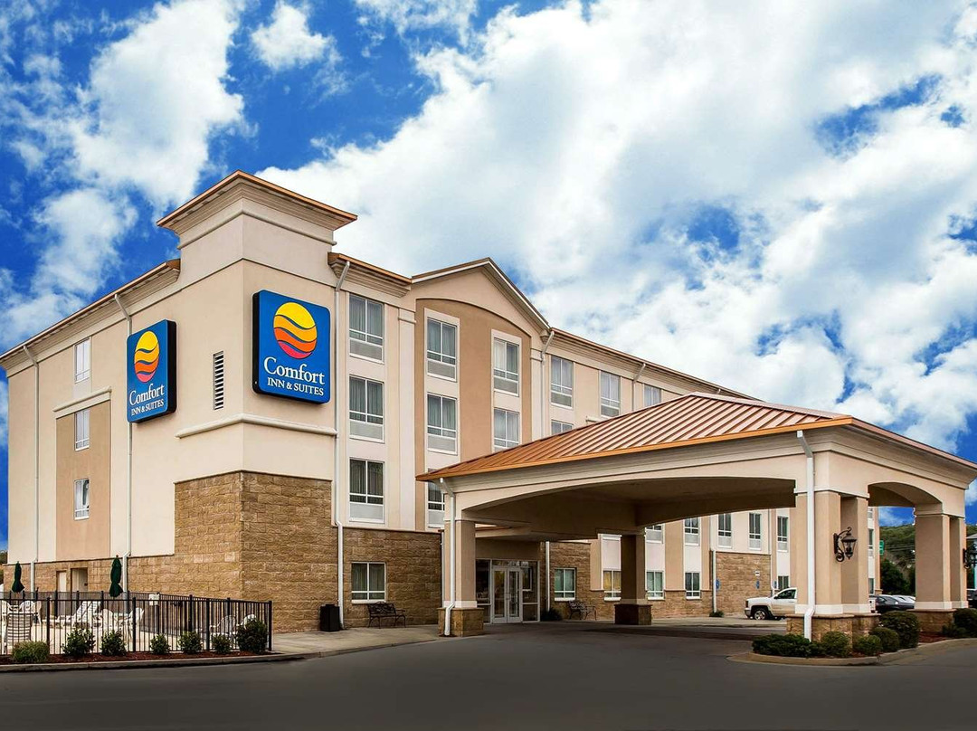Comfort Inn & Suites主图