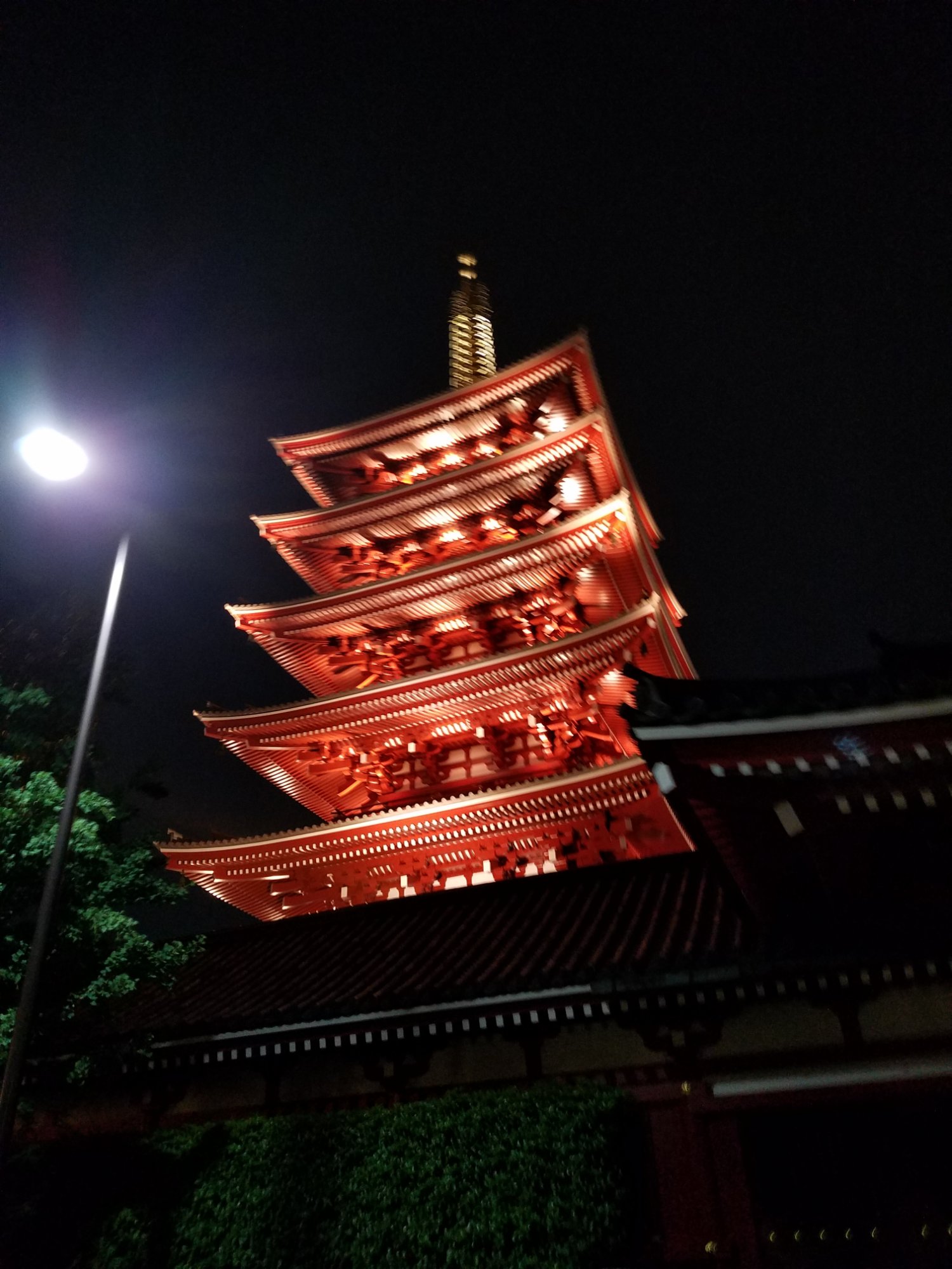 浅草指月旅馆-酒店景观