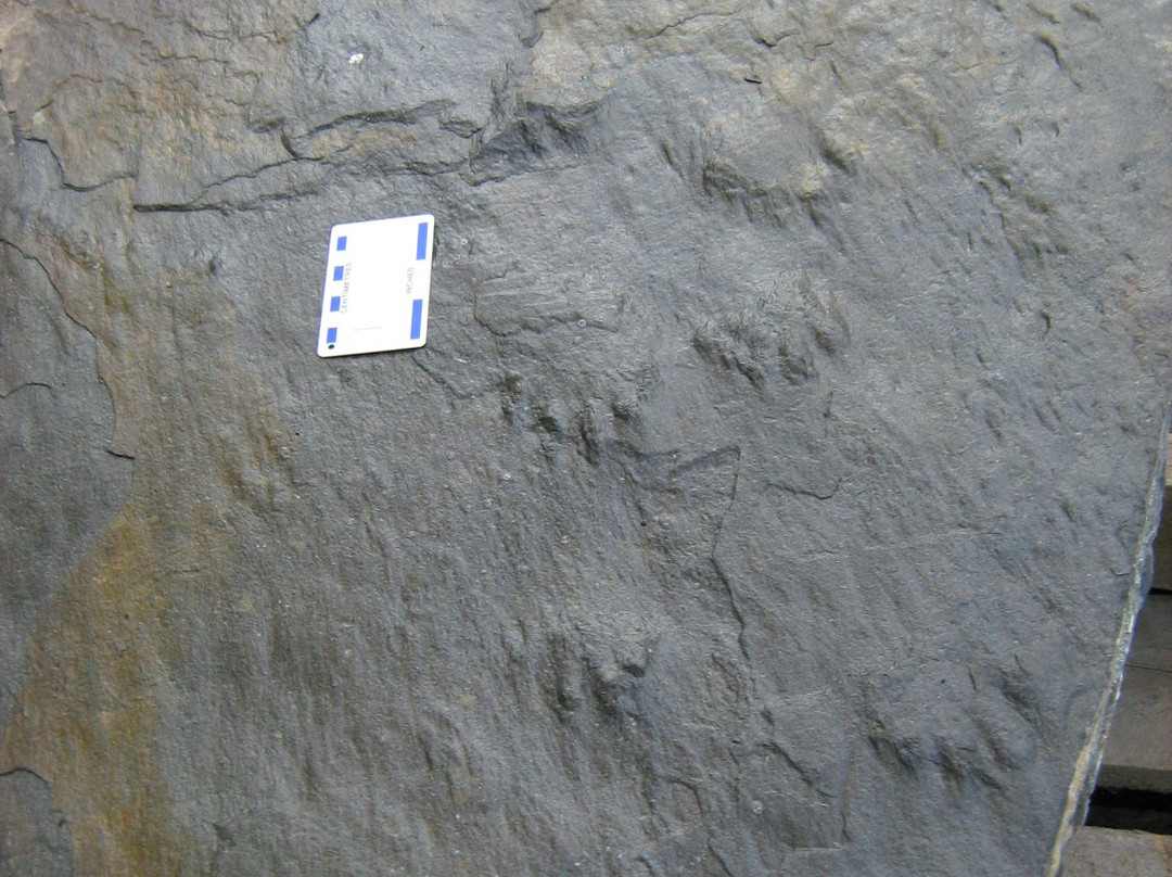 Tuach Garden & Arboretum-圣约翰必去景点