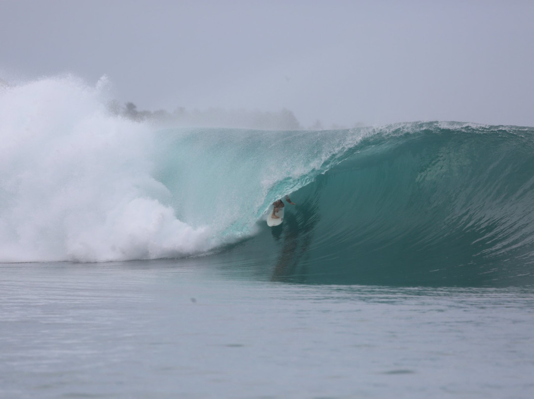 Macaronis Resort主图