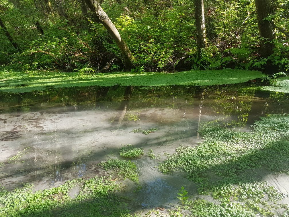 Watershed Park景点图片