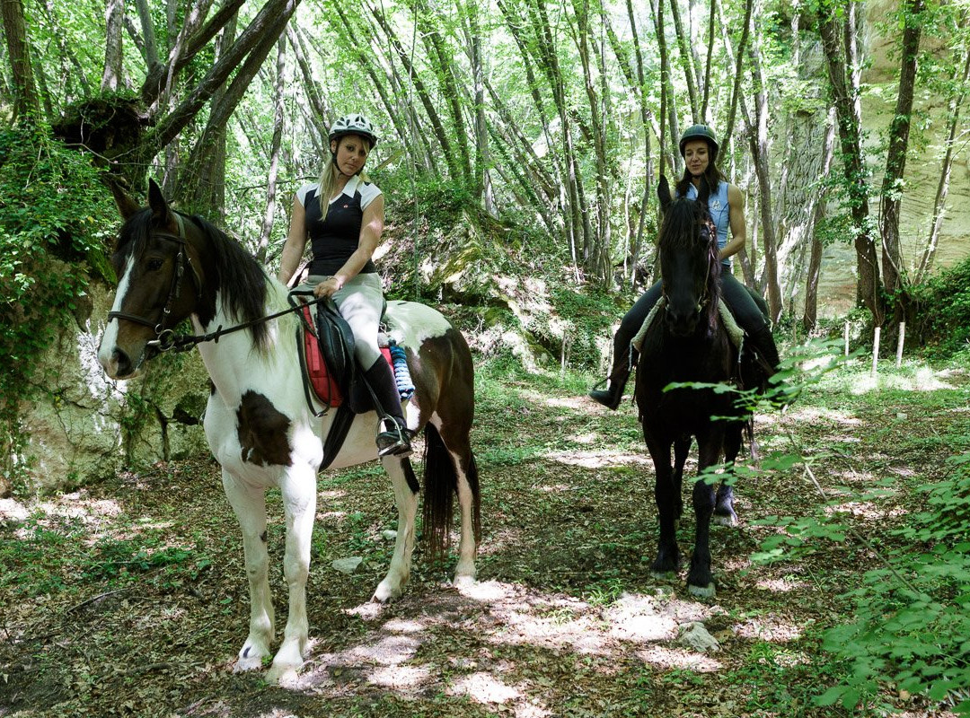 Borgo Pignano Horseback Riding景点图片