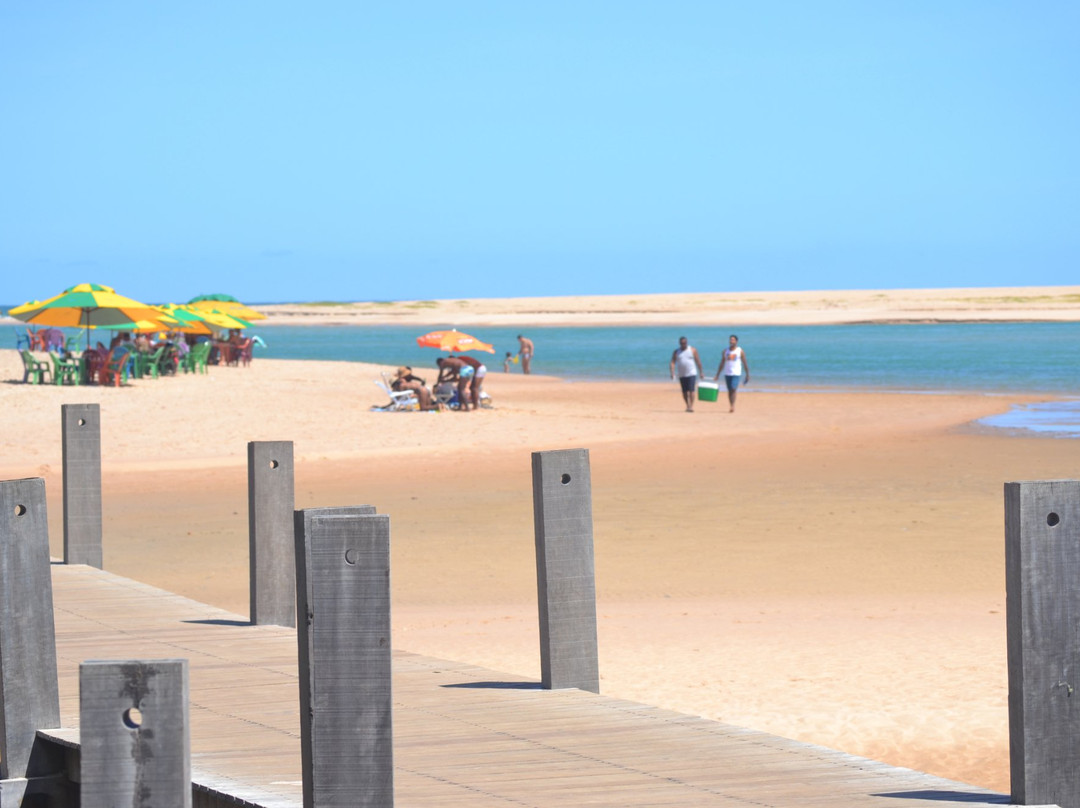 Bahia Vacations Private Tours景点图片