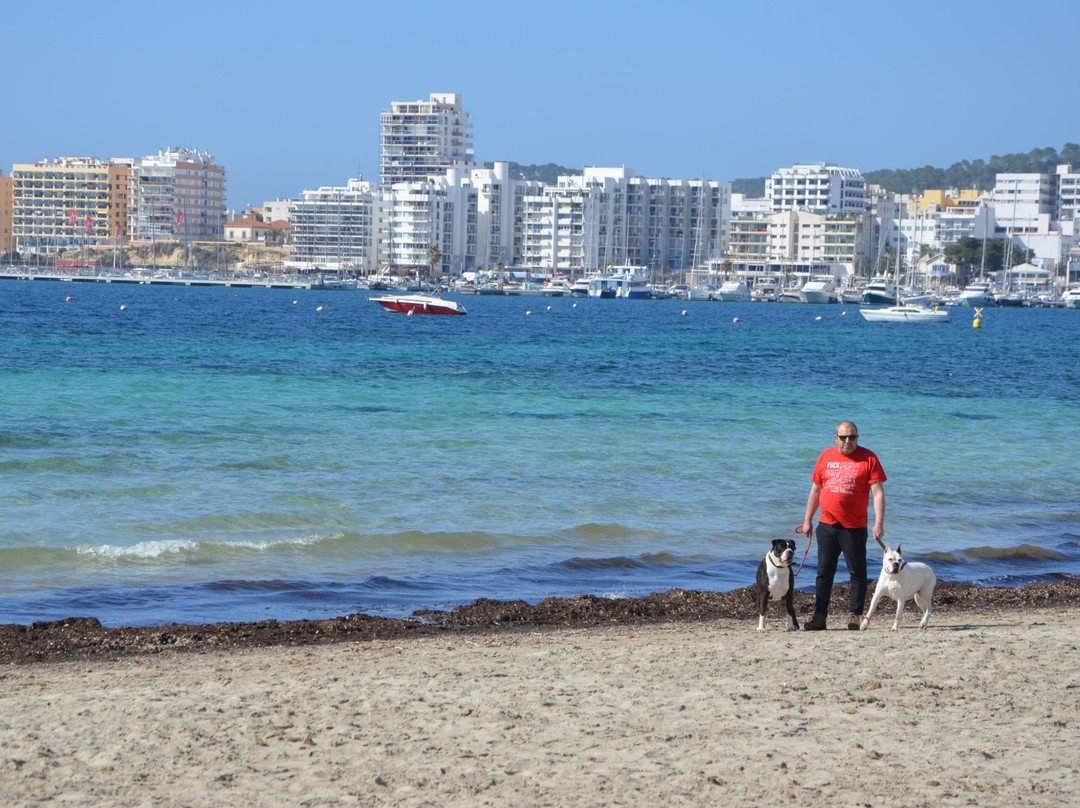 Platja de S'Arenal景点图片