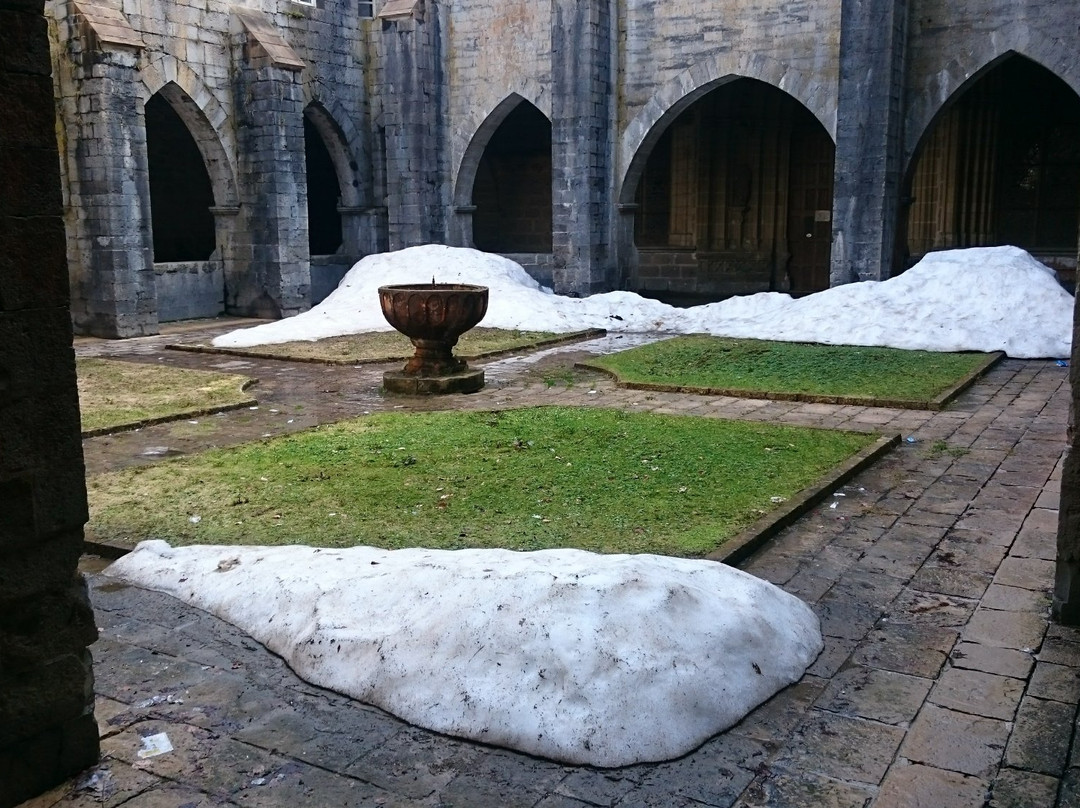 Colegiata de Santa María de Orreaga景点图片