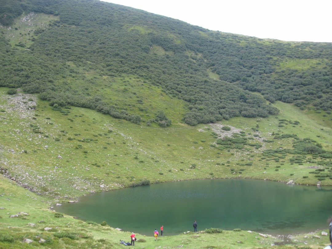 Chorna Tysa旅游攻略图片