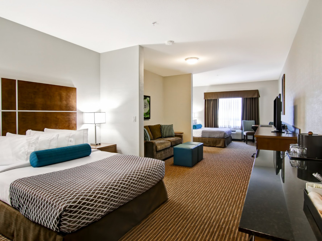 Canalta Selkirk主图