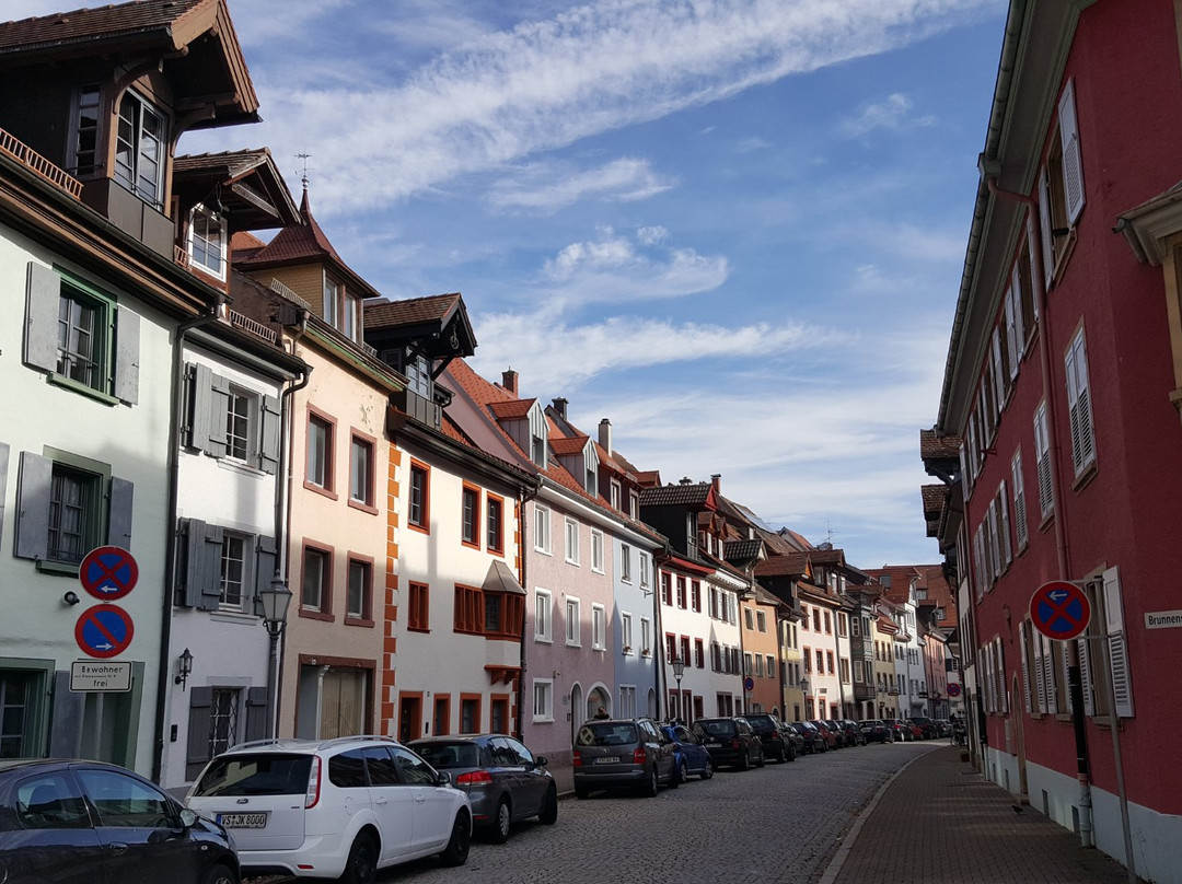 Hotel Baeren