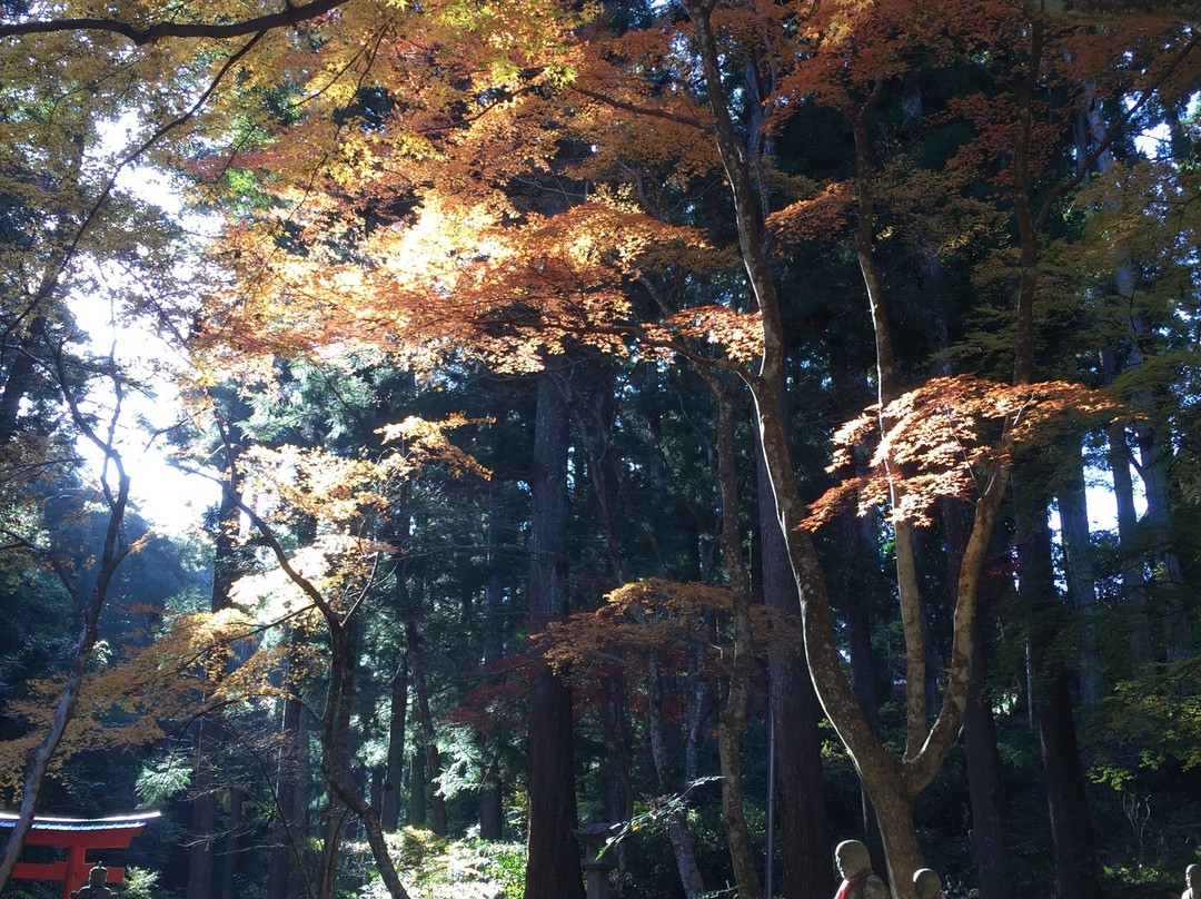 Rinzaishu Hoko-ji temple Daihonzan Okuyama Hansobo景点图片