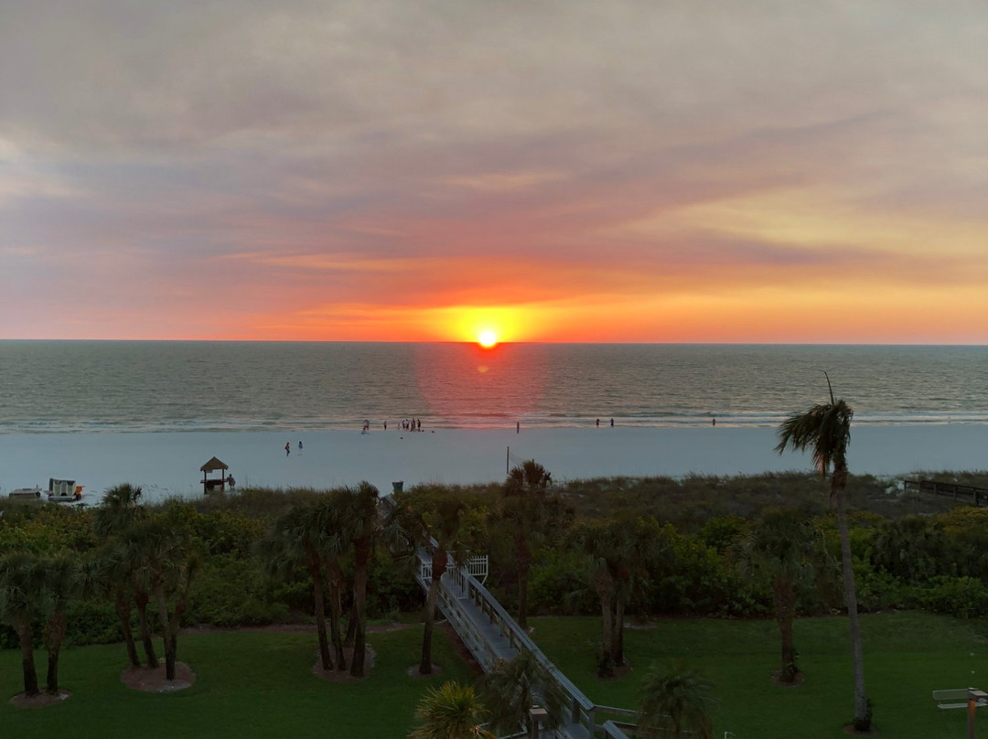 The Surf Club of Marco主图