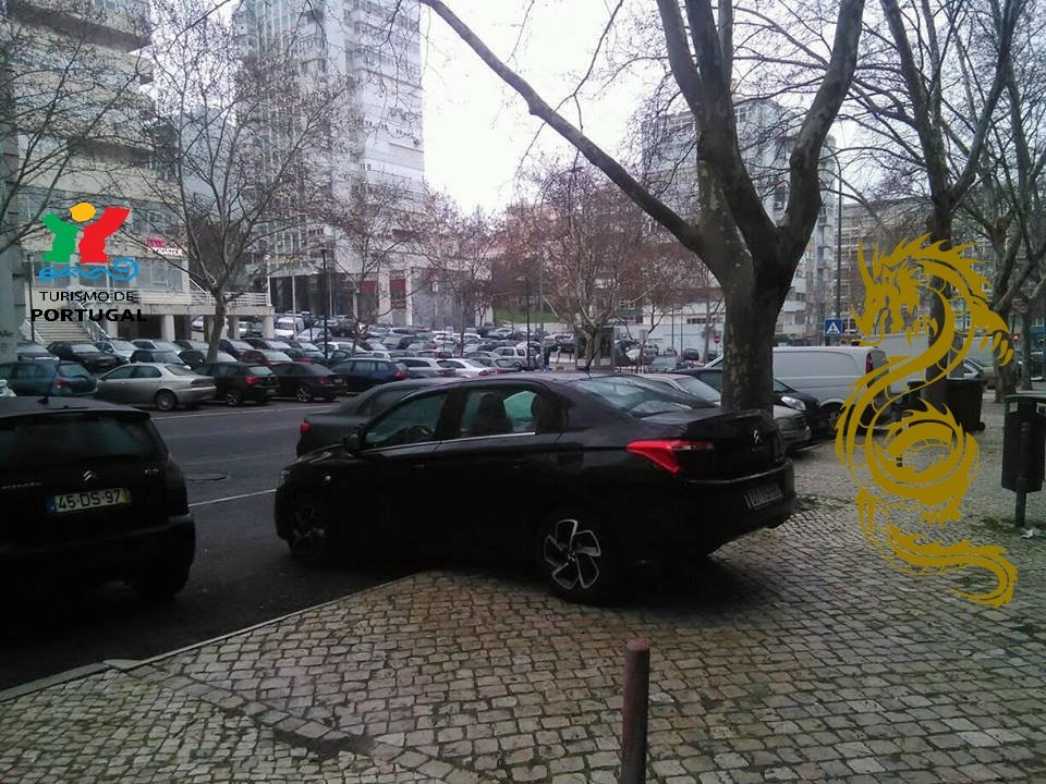 Acrobatic Dragon Private Chauffeur景点图片