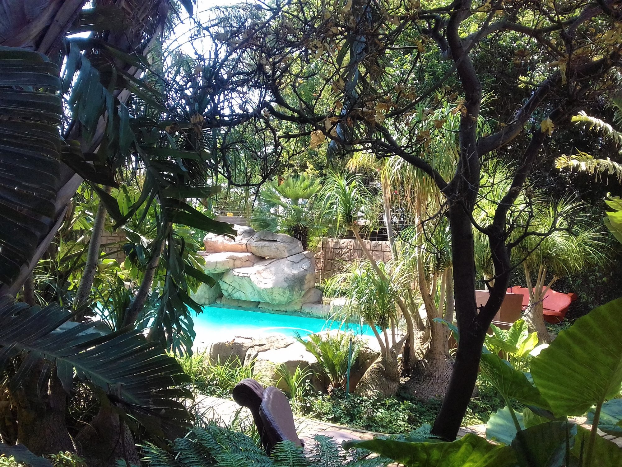 Summer Garden Guest House (The Palms)-泳池