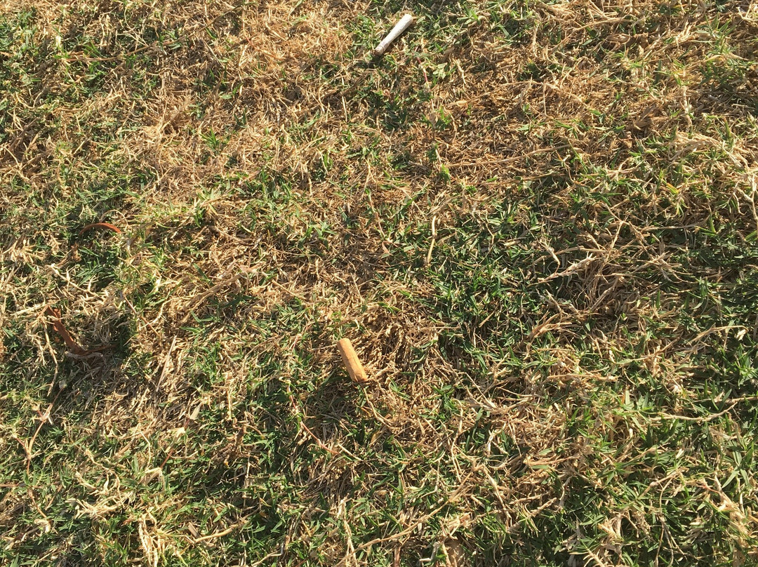 Synergy Spa-恩戈地必去景点