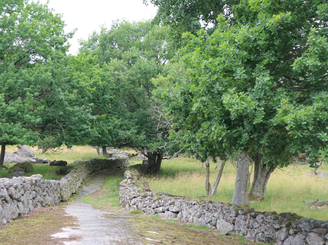 Eriksberg Wildlife Park景点图片