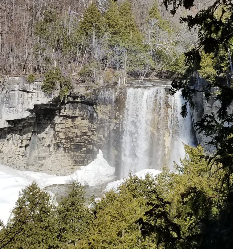 Eugenia Falls Conservation Area景点图片
