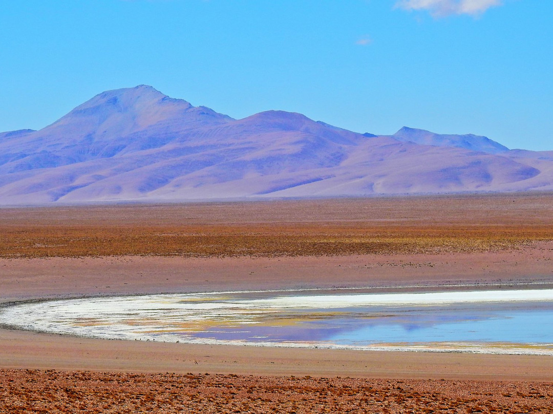 Laguna Hedionda景点图片