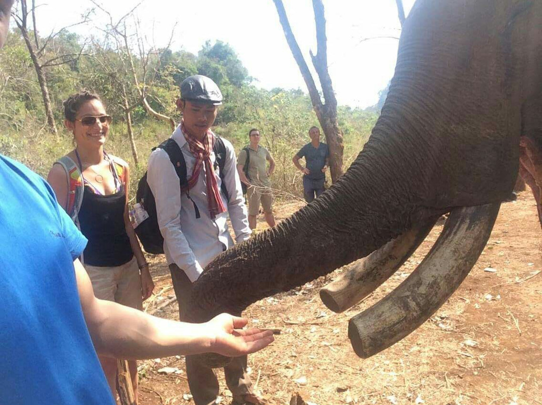 Mondulkiri Adventure Trekking景点图片