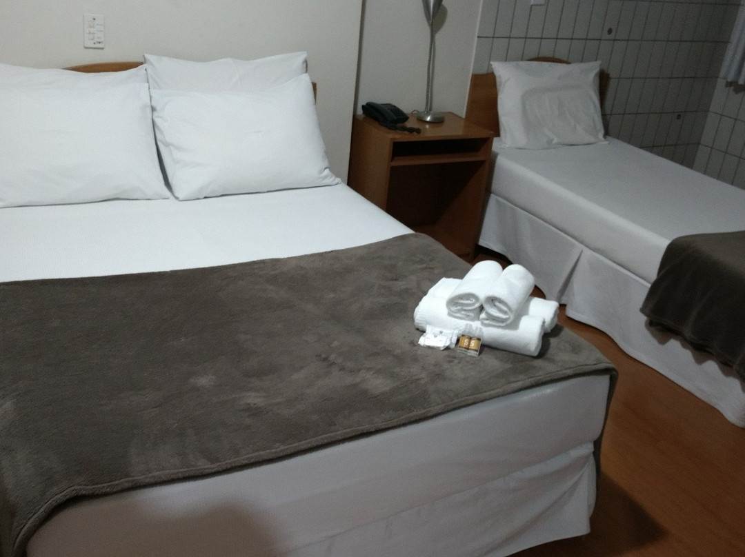 Zallon Hotel Executivo主图