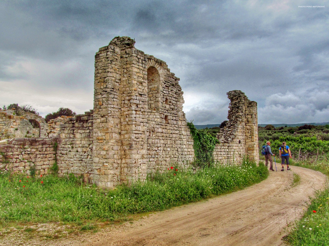 Apartments Island of Brac - Villa Nela主图