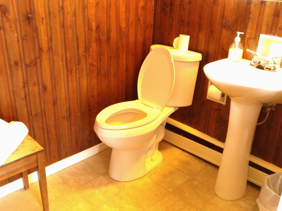 Maple Leaf Motel主图