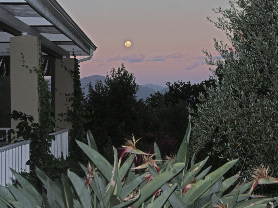 De Langenhof Guest House主图