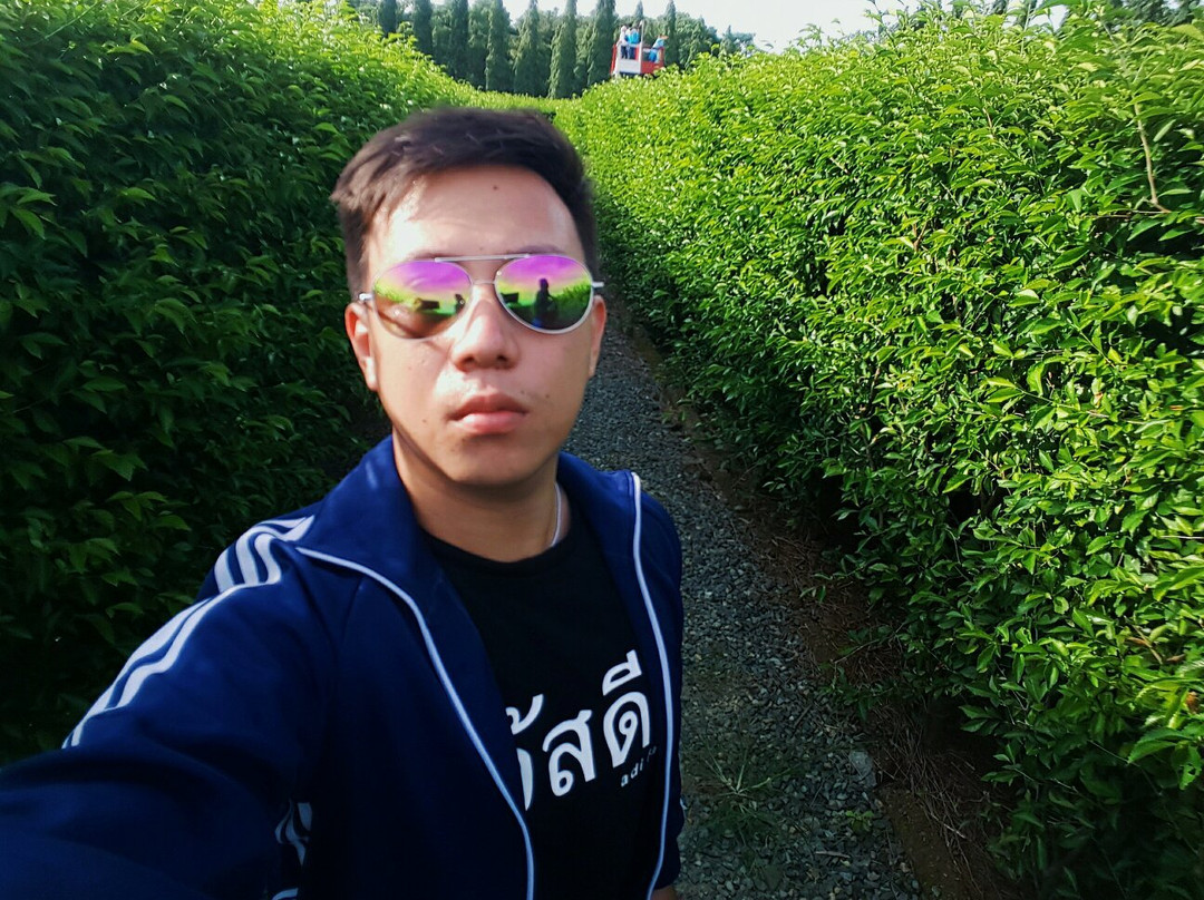 Labyrinth Park景点图片