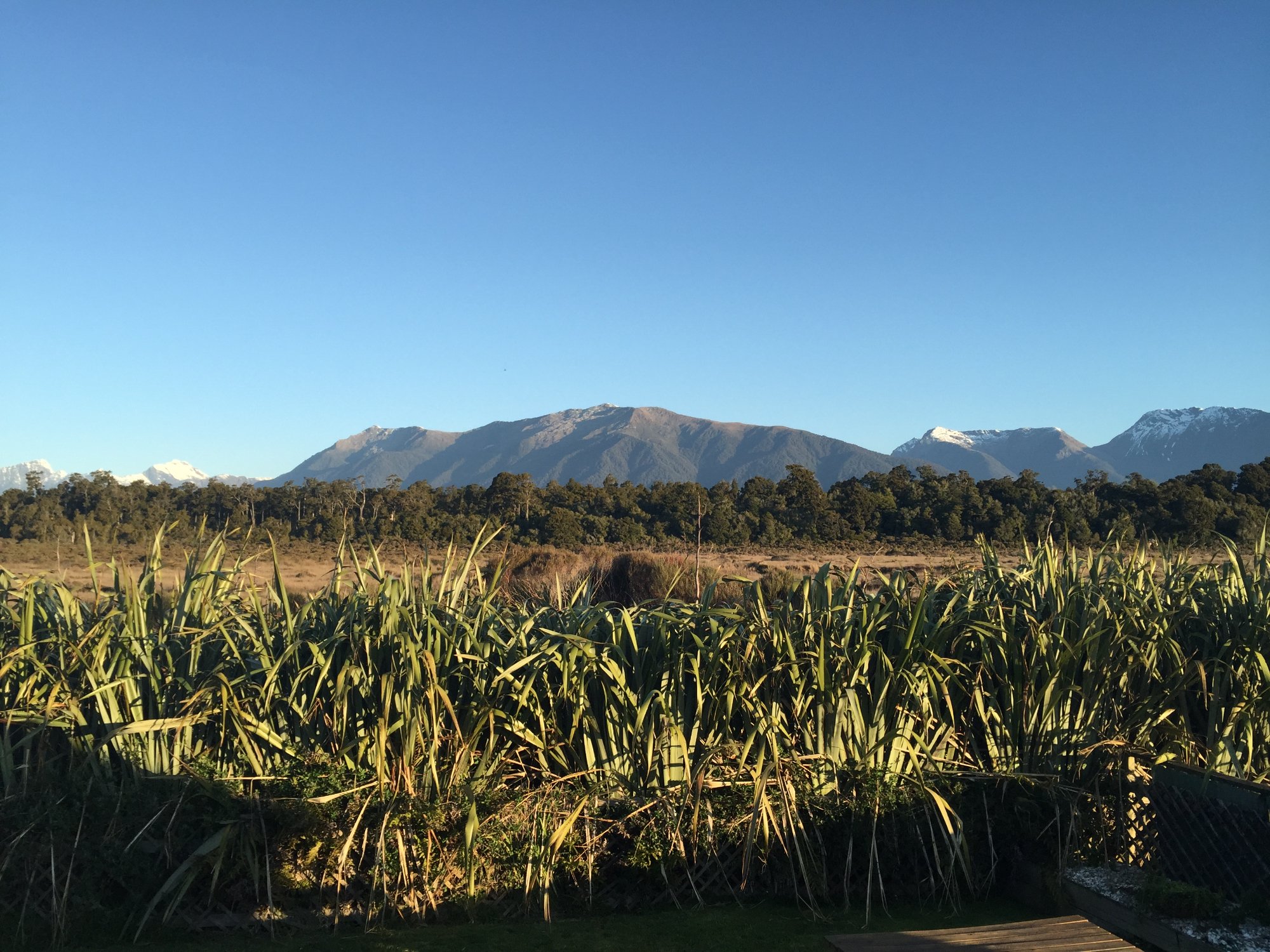 Haast Beach Motel-官方