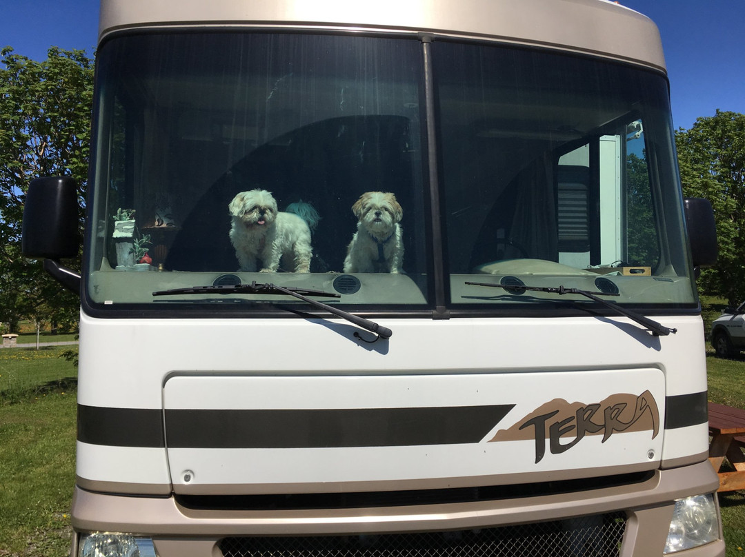 Camping Rimouski & Motel de L'Anse主图